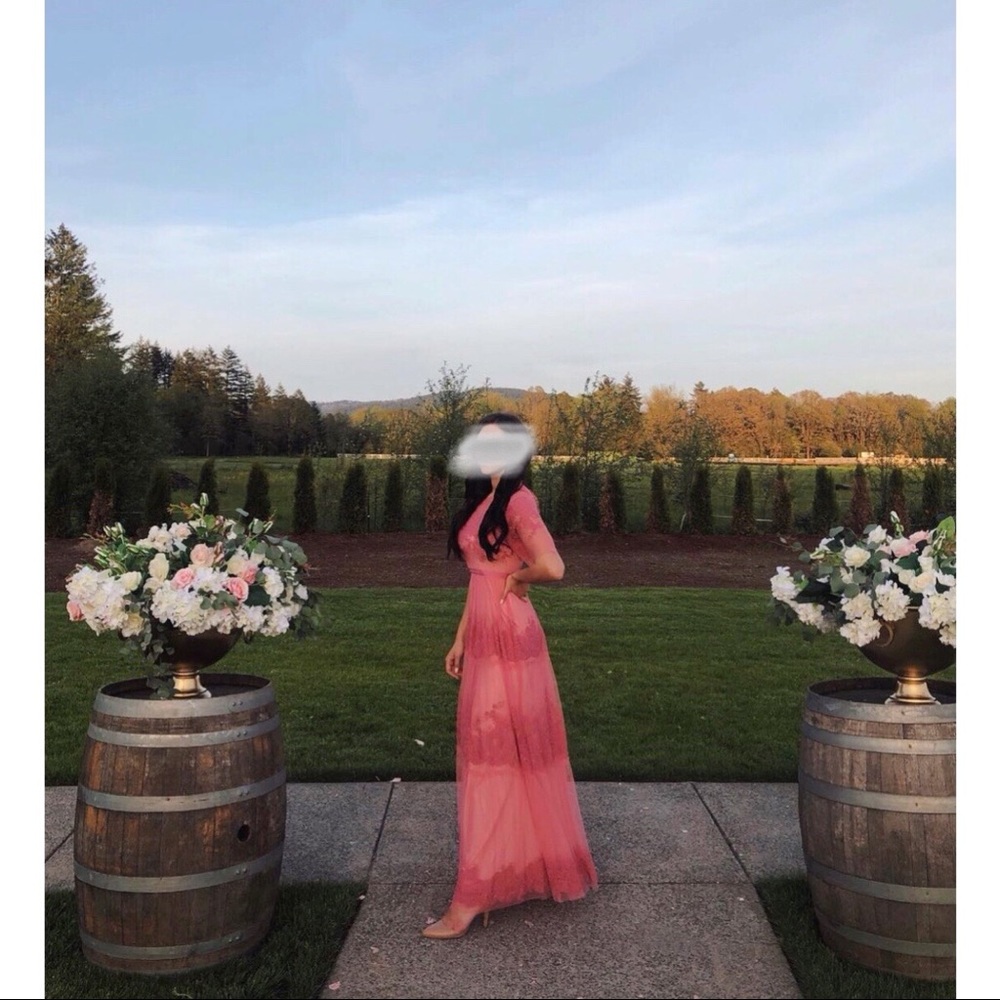 Rose Elegant dress BCBG